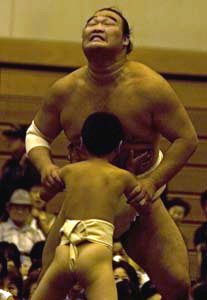 Gentle Giants of Sumo